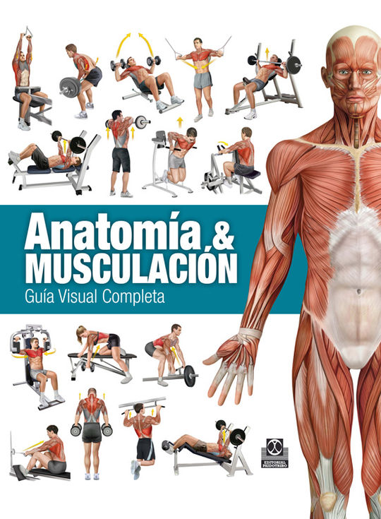 ANATOM�A & MUSCULACI�N