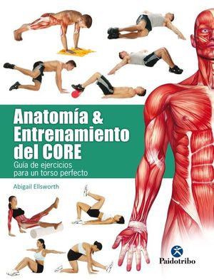 ANATOMA & ENTRENAMIENTO DEL CORE (COLOR)