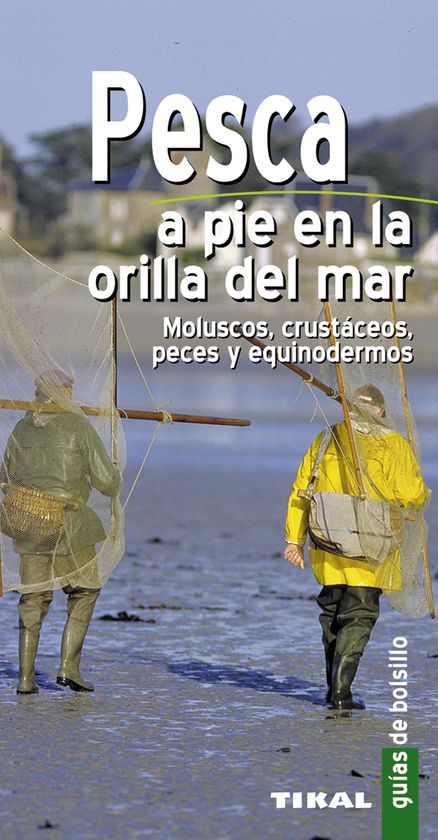 PESCA A PIE EN LA ORILLA DEL MAR. MOLUSCOS, CRUST�CEOS, PECES Y EQUINODERMOS