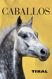 CABALLOS (FOTOLIBROS)