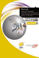 MANUAL DE PREVENCI�N DE RIESGOS LABORALES, SECTOR CONSTRUCCI�N Y AFINES, RIESGOS