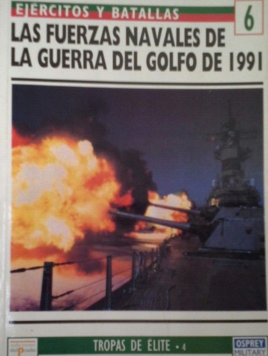 FUERZAS NAVALES DE LA GUERRA DEL GOLFO DE 1991, LAS