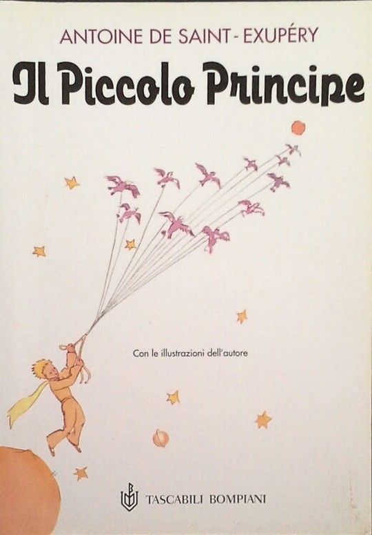 IL PICCOLO PRINCIPE