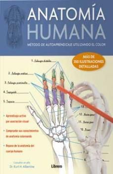 ANATOMIA HUMANA