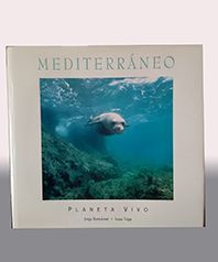 MEDITERRANEO