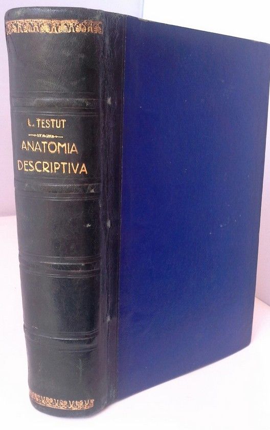 COMPENDIO DE LA ANATOMIA DESCRIPTIVA