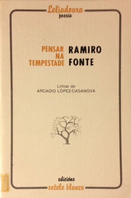 PENSAR NA TEMPESTADE. RAMIRO FONTE