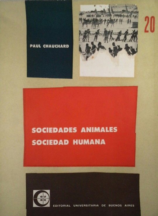 SOCIEDADES ANIMALES  SOCIEDAD HUMANA