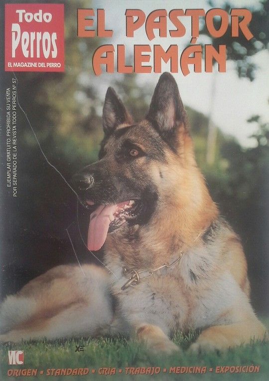 EL PASTOR ALEMAN