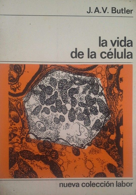 LA VIDA DE LA CELULA