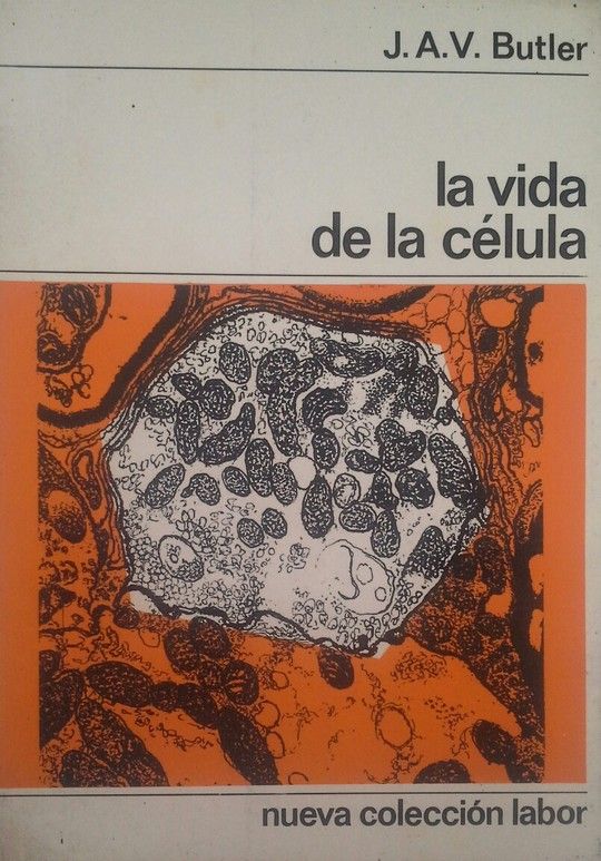 LA VIDA DE LA CELULA