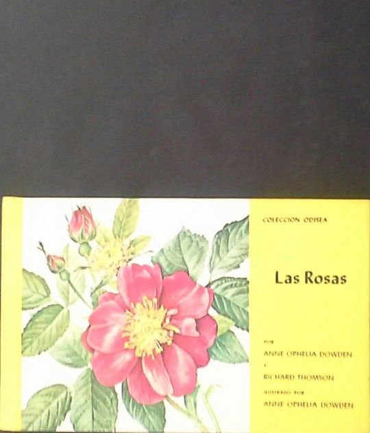 LAS ROSAS