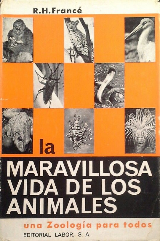 LA MARAVILLOSA VIDA DE LOS ANIMALES