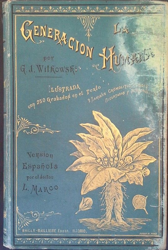 LA GENERACION HUMANA