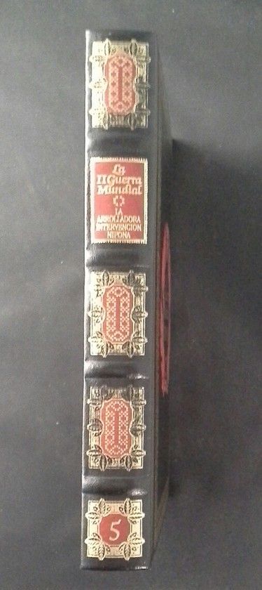 LA ARROLLADORA ITERVENCI�N NIPONA