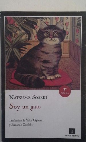 SOY UN GATO