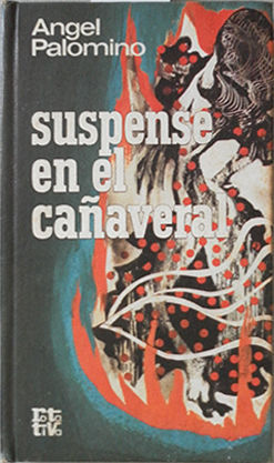 SUSPENSE EN EL CAAVERAL