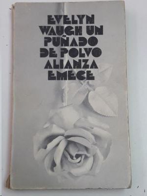 UN PU�ADO DE POLVO