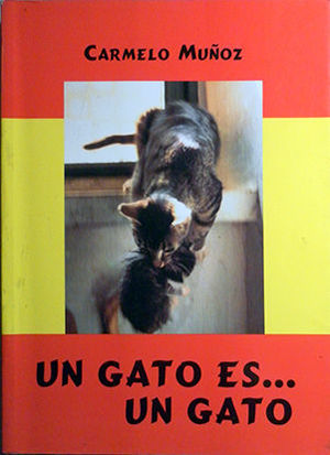 UN GATO ES... UN GATO