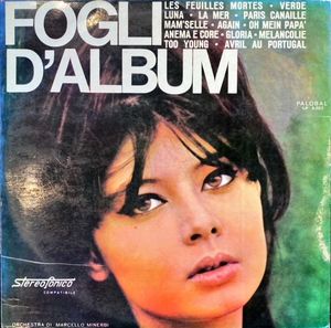 VINILO - FOGLI D'ALBUM