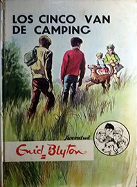 LOS CINCO VAN DE CAMPING