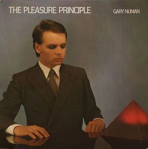 THE PLEASURE PRINCIPLE