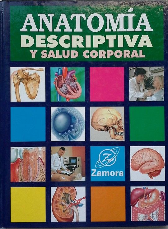 ANATOMIA DESCRIPTIVA Y SALUD CORPORAL