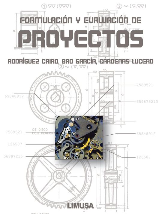 FORMULACION Y EVALUACION PROYECTOS