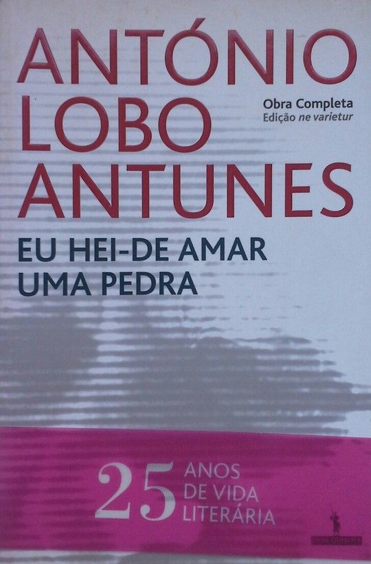 EU HEI-DE AMAR UMA PEDRA  -PORTUGUES-