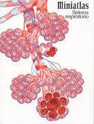 MINIATLAS SISTEMA RESPIRATORIO