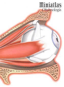 MINIATLAS OFTALMOLOGIA