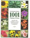 ENCICLOPEDIA PRACTICA 1001 PLANTAS Y FLORES