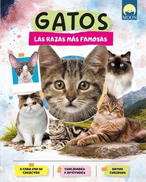 GATOS. LAS RAZAS MAS FAMOSAS